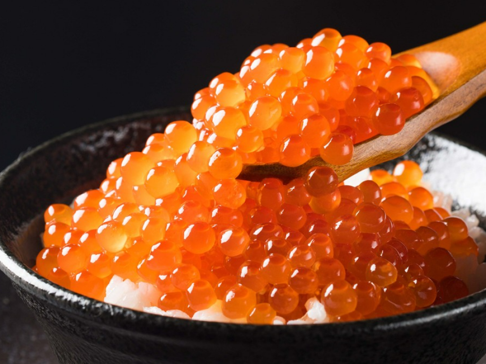 北の味紀行と地酒　北海道