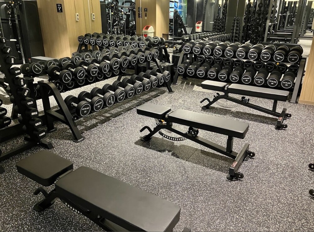 FIT PLACE24