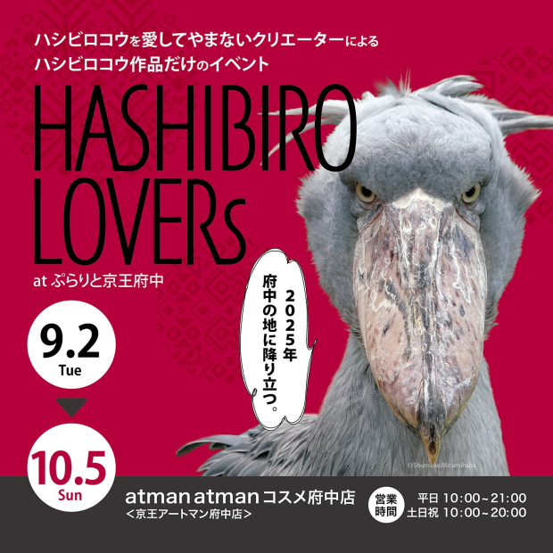 「HASHIBIRO LOVERs（ハシビロラバーズ）」開催！