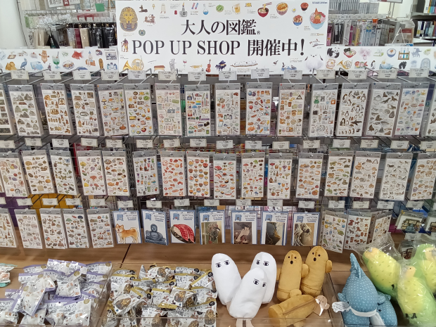 カミオジャパン　大人の図鑑　POP UP SHOP　開催中！